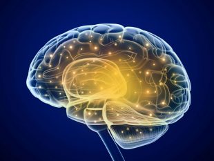 How Alzheimer's affects the brain